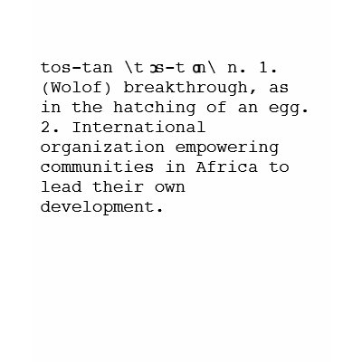 What is Tostan? Tee Shirt by Tostan
