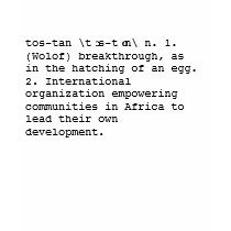 What is Tostan? t-shirts by Tostan What is Tostan? t-shirts