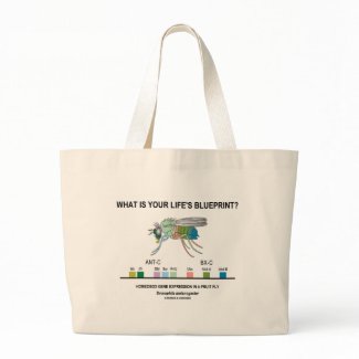 What Is Your Life's Blueprint? (Gene Expression) bag