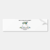 What Is Your Life's Blueprint? (Gene Expression) Bumper Stickers