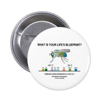 What Is Your Life's Blueprint? (Gene Expression) Pinback Button