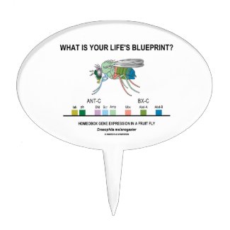 What Is Your Life's Blueprint? (Gene Expression) Cake Topper