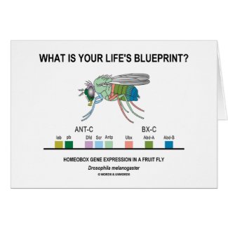What Is Your Life's Blueprint? (Gene Expression) Cards