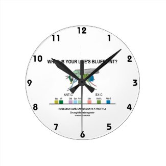 What Is Your Life's Blueprint? (Gene Expression) Round Clock