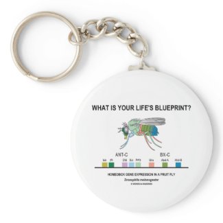 What Is Your Life's Blueprint? (Gene Expression) Keychain
