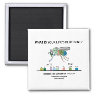 What Is Your Life's Blueprint? (Gene Expression) Fridge Magnet