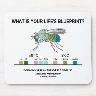 What Is Your Life's Blueprint? (Gene Expression) Mousepad