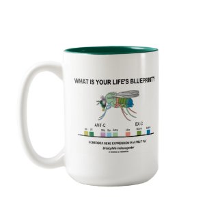 What Is Your Life's Blueprint? (Gene Expression) mug