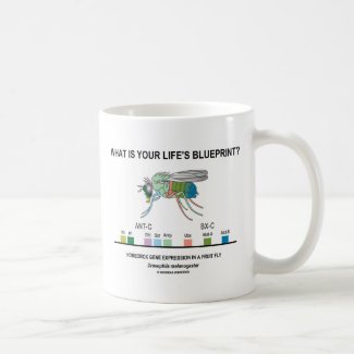 What Is Your Life's Blueprint? (Gene Expression) Coffee Mug