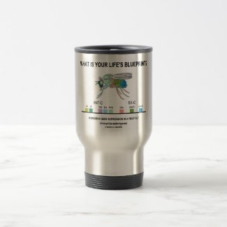 What Is Your Life's Blueprint? (Gene Expression) Mug