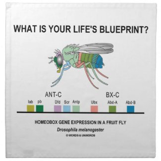 What Is Your Life's Blueprint? (Gene Expression) Cloth Napkins