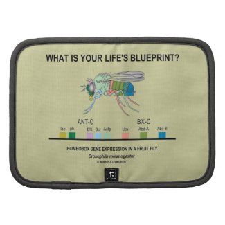 What Is Your Life's Blueprint? (Gene Expression) Planner