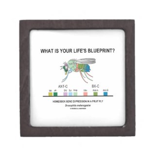 What Is Your Life's Blueprint? (Gene Expression) Premium Gift Box