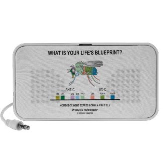 What Is Your Life's Blueprint? (Gene Expression) iPhone Speaker