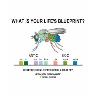 What Is Your Life's Blueprint? (Gene Expression) shirt