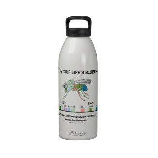 What Is Your Life's Blueprint? (Gene Expression) Drinking Bottle