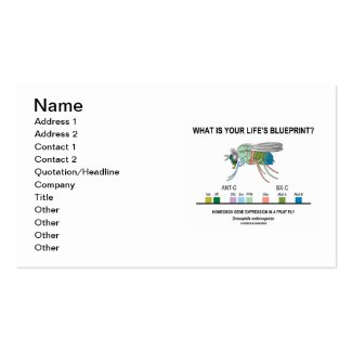 What Is Your Life's Blueprint? (Homeobox Gene) Business Card