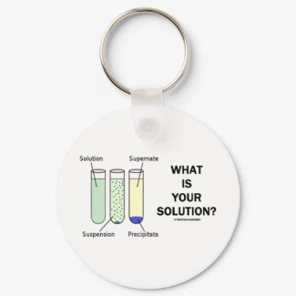 What Is Your Solution? (Chemistry Humor) keychain