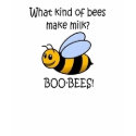 What kind of bees make milk? - Long Sleeve Tshirt