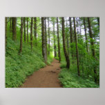 What Lies Ahead Print