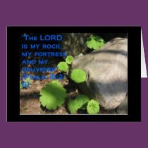 What Lies Beneath the Rocks cards