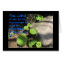 What Lies Beneath the Rocks cards by trendhuntress What Lies Beneath the Rocks cards