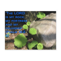 What Lies Beneath the Rocks Post Card