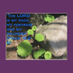 What Lies Beneath the Rocks postcards