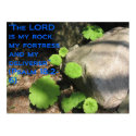 What Lies Beneath the Rocks posters by trendhuntress What Lies Beneath the Rocks posters