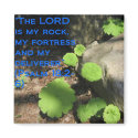 What Lies Beneath the Rocks Q magnets by trendhuntress What Lies Beneath the Rocks Q magnets
