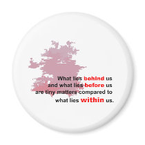 what lies within magnets by chaibee what lies within magnets