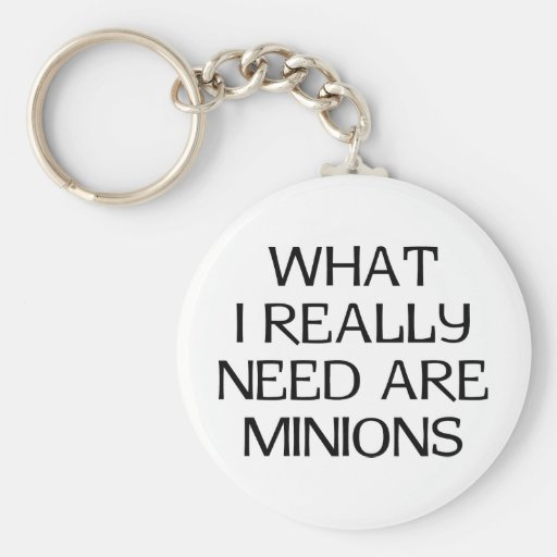 What Minions Key Chains