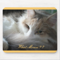 What Mouse?? mousepads