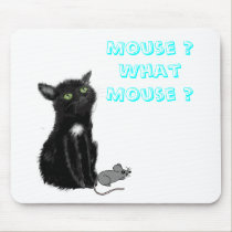 What Mouse ? mousepads