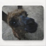 What? Mousepad