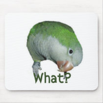 What? Mouse Pads