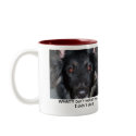 What?! Mug