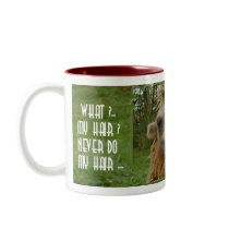 WHAT?..MY HAIR? mugs