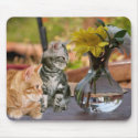 What No Fish? Mousepad