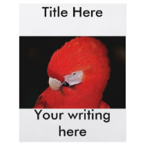 What now little parrot custom flyer