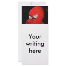 What Now rack cards by laureenr What Now rack cards