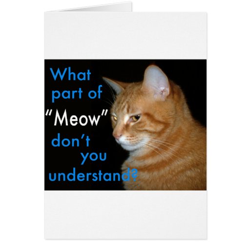 What Part of "Meow" Don't You Understand Greeting Cards