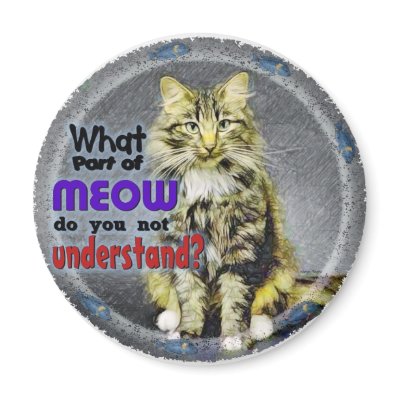 What Part of Meow Refrigerator Magnet by nextstopitaly