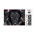 What?! Postage