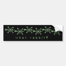 What Rabbit? Turtle Bumper Sticker