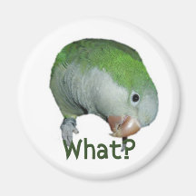 What? Refrigerator Magnet