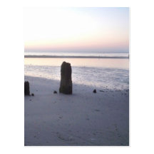 What Remains Post Card