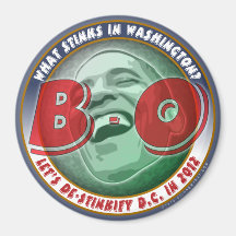 What Stinks in Washington? Refrigerator Magnet