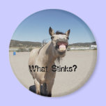 What Stinks? magnets