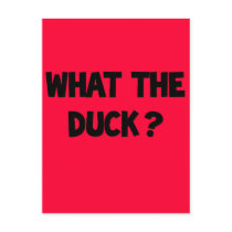 What the Duck postcards
